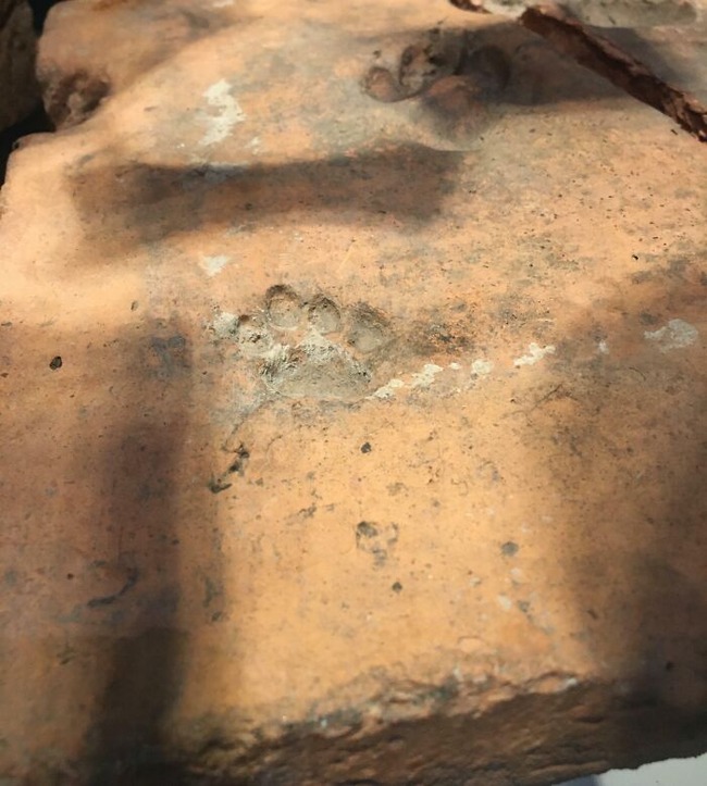 655c6e784f46b_interesting-archaeological-finds