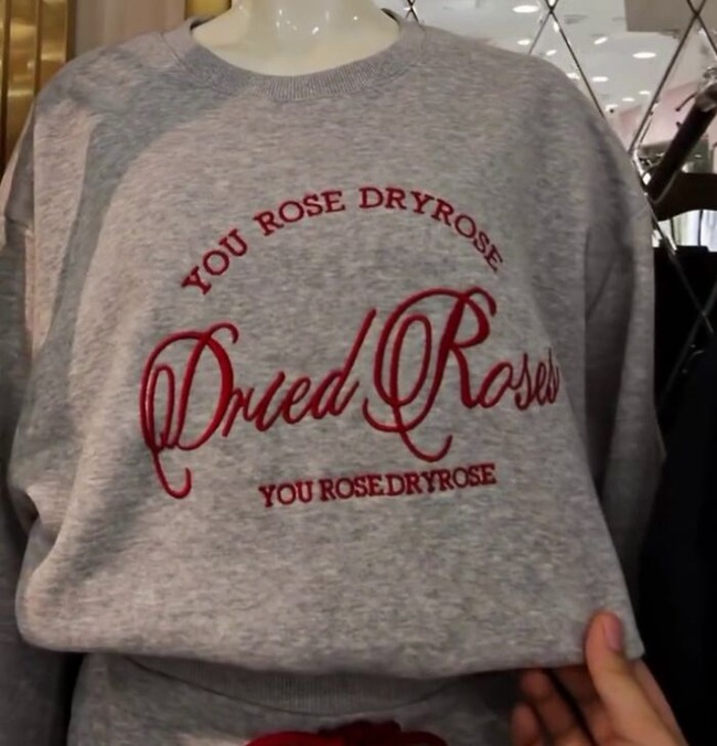 67fd02ae1364f_hilarious-japanese-tshirts-28