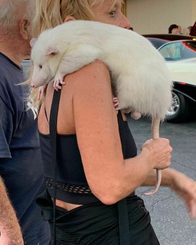 CvrpcfUP0IP-png__700