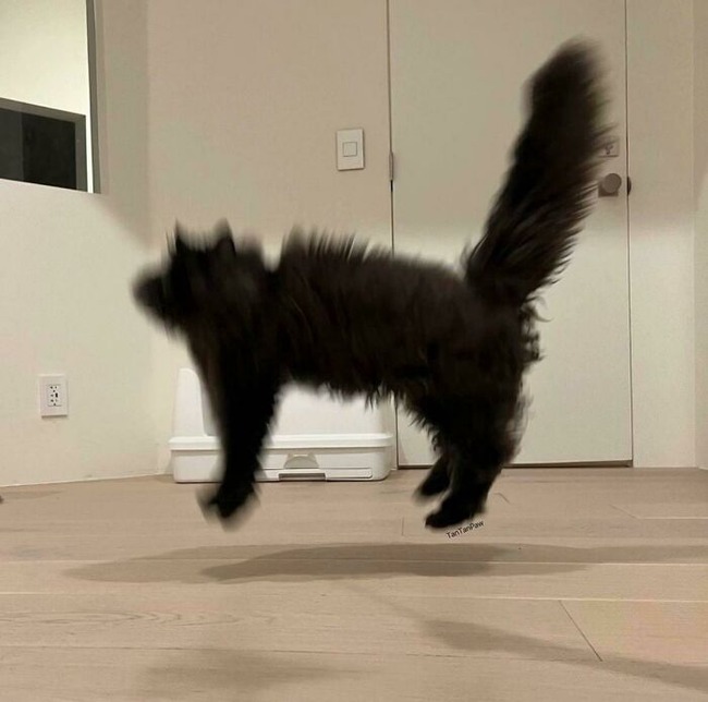 63ce567a86188_0abj93y3pnk91__700