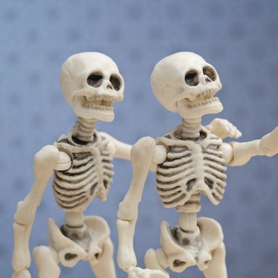 1647142069739 (1)