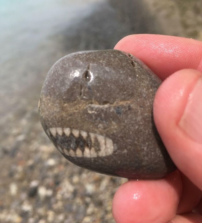 65268335aaba2_unexpected-finds-in-beach