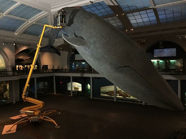 682c833e5e2cc_wtccl84mcw021__700