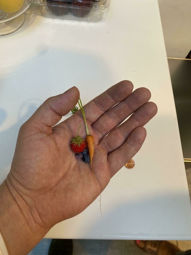 662e9e7a48d3b_kaertboqm4eb1__700