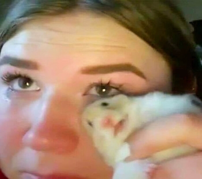 003-4-65b3ab4f8c464-png__700