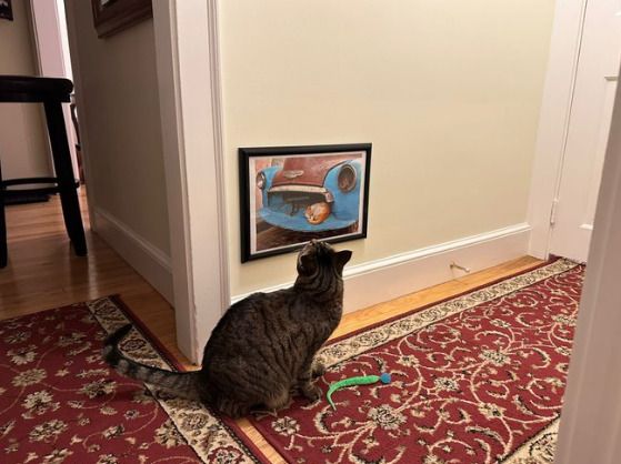 1628586072224727041-png__700