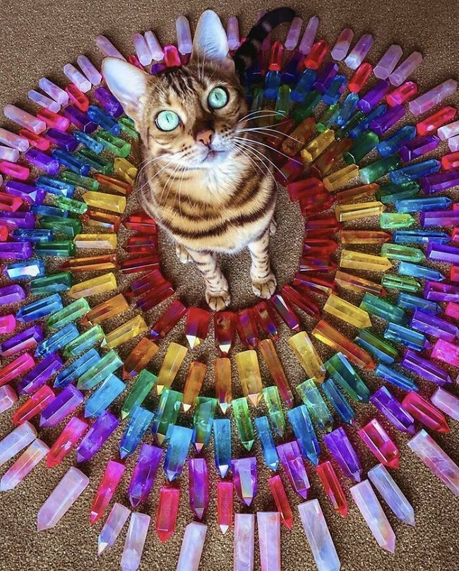 666becdd89ea2_eeiuxfu5w9241__700