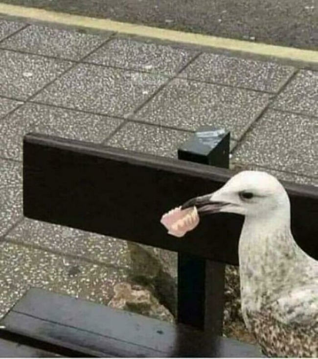 66fdf2493543b_s8i73bwyebsd1-jpeg__700