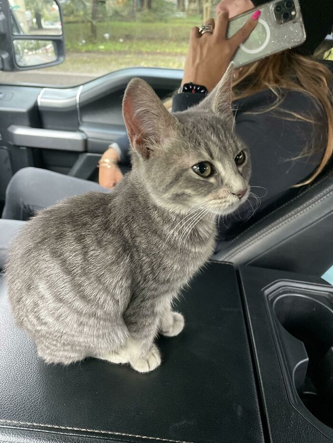 619b4b7acd8a6_hud8nnw3q6y71__700