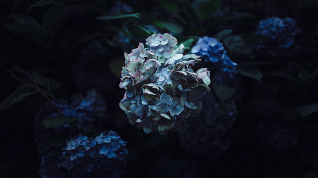 35 - KXqnzO9