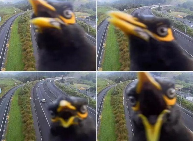 6733c99767fd4_156uka5pzh0e1-png__700