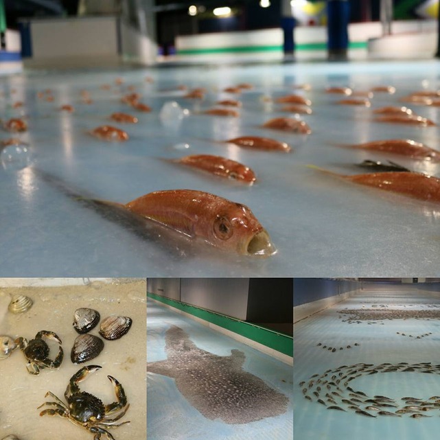 Fukuoka-Space-World-frozen-fish-ice-skating1 (1)