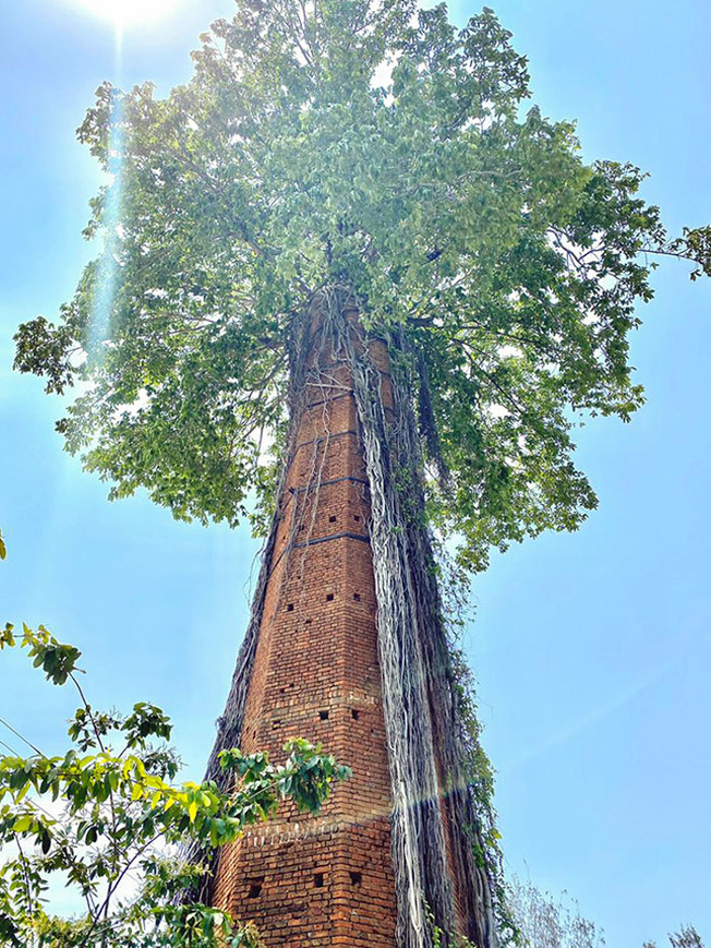 nature-reclaiming-civilization-507-603cf34e0144c__700