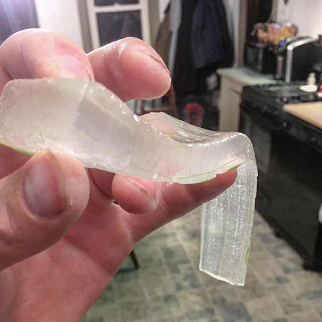 interesting-things-inside-things-pics-7-66ec334f5f469__700