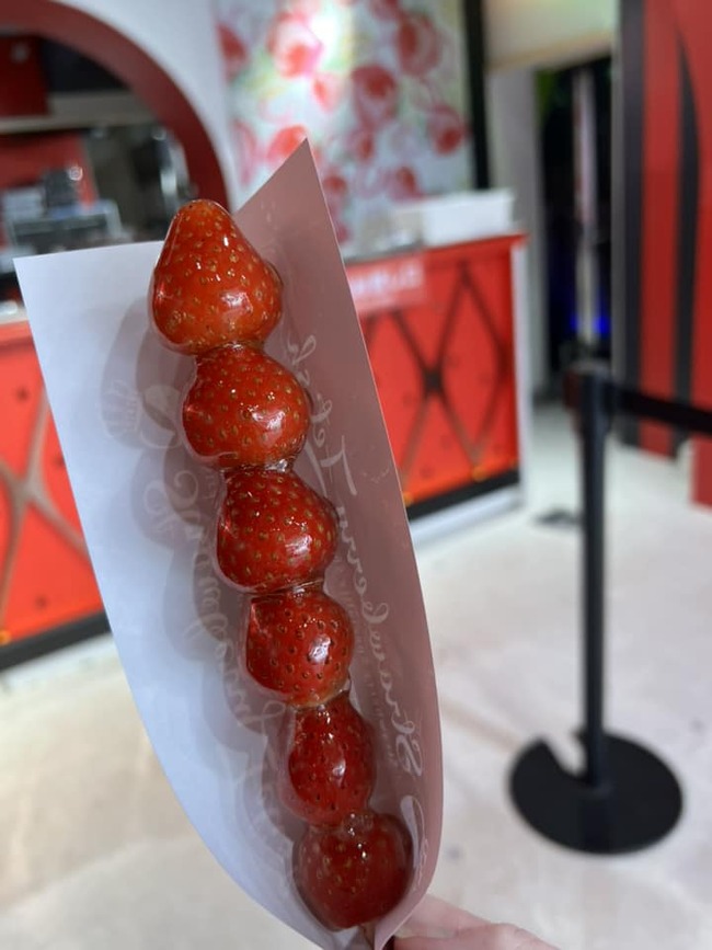 438097928_10161098261426999_2214024933927669991_n