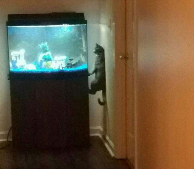 funny-unexplainable-pictures-3-61a0ab1d50a11__700