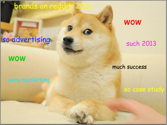 welcome-doge-has-you-covered