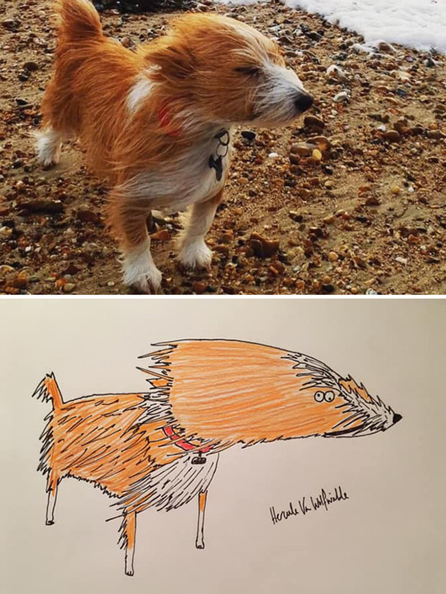 002-5f915631d8a67__700