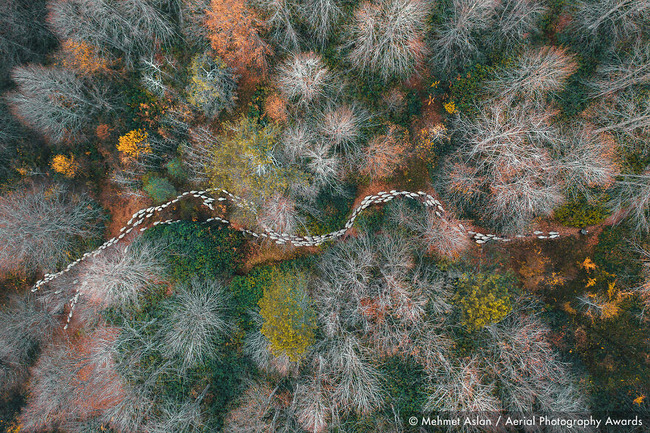 The-winners-of-the-2020-best-aerial-photography-contest