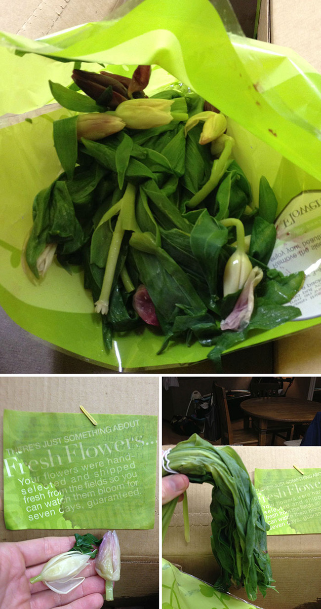 funny-valentines-day-fails-accidents-8-63c53cb84fc53__700 (1)