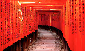 ダウンロード (1)