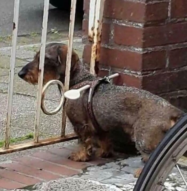 69de4d8072ea9_weird-hmmm-photos__700