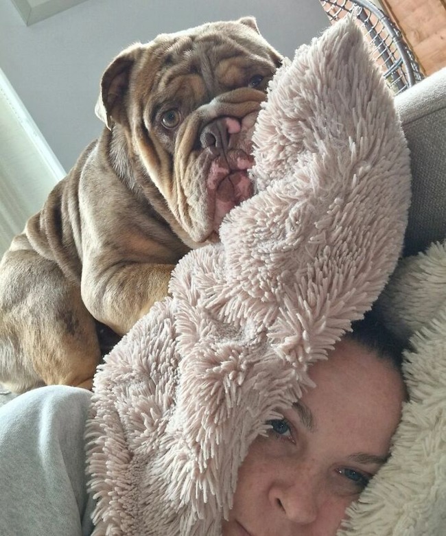 650a9f967ff90_funny-pets-ignore-personal-space