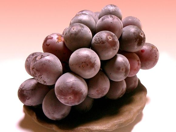 800px-kyoho-grape