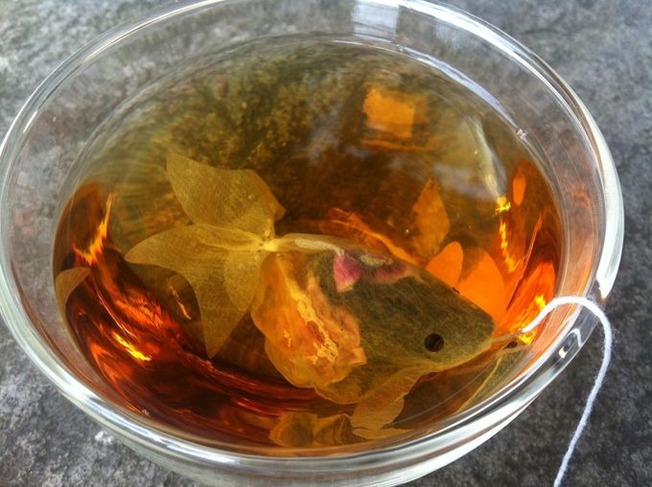 27271d3fa3ea1ff12aee58b2c62824a4--goldfish-package-design