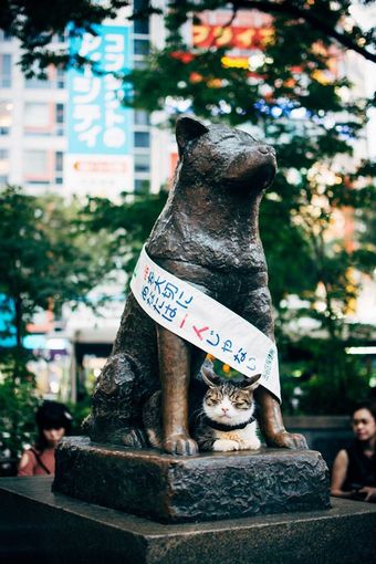 14352299_10154598921416683_2448876578426763376_o (1)