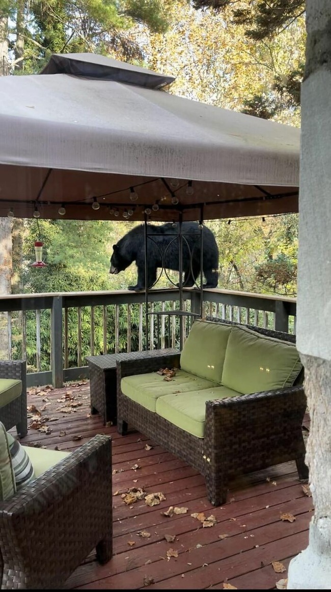 view-from-your-window-45-642aa1c64929d__700 (1)