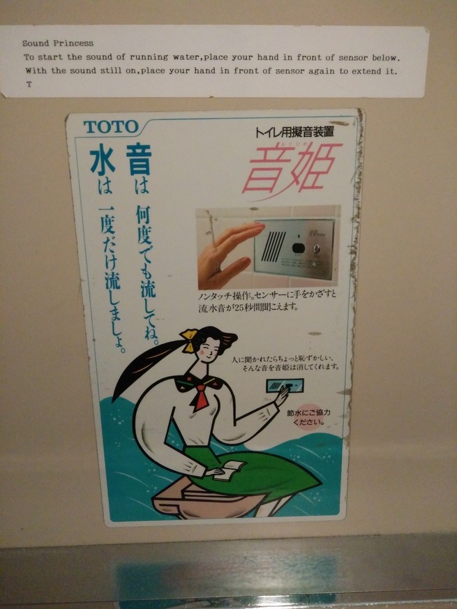 17 - Explanation in a toilet