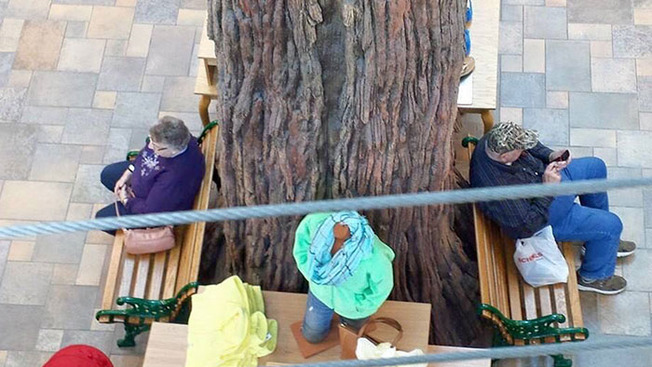 clueless-older-people-fails-308-609100140116d__700