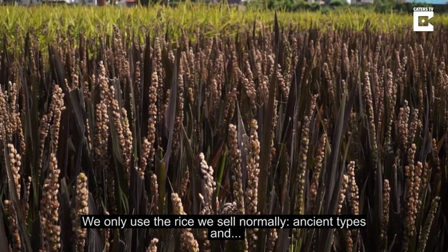 bee778fd-8696-4781-b413-098c7d54030a