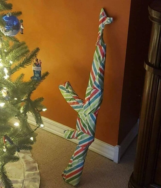 CJRjP35FINe-png__700