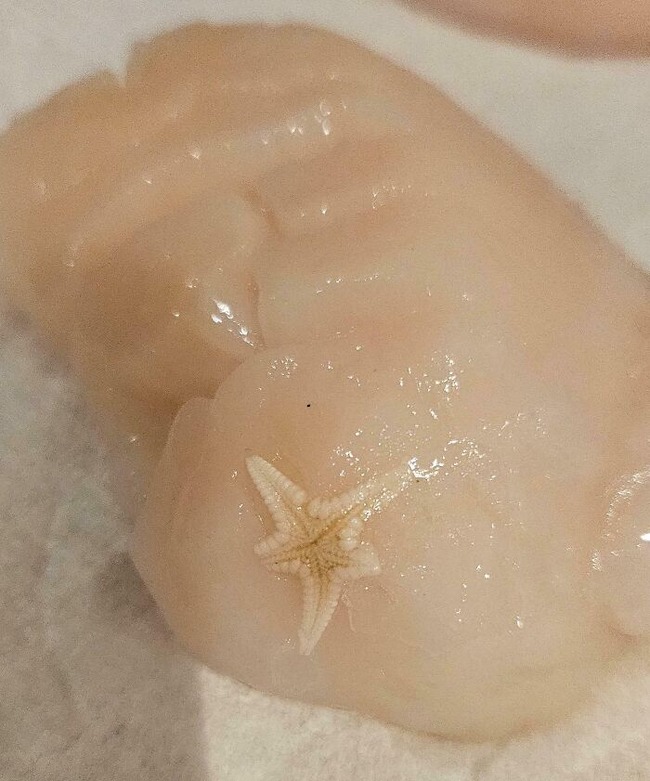6749906a64c5a_unusual-finds-in-food