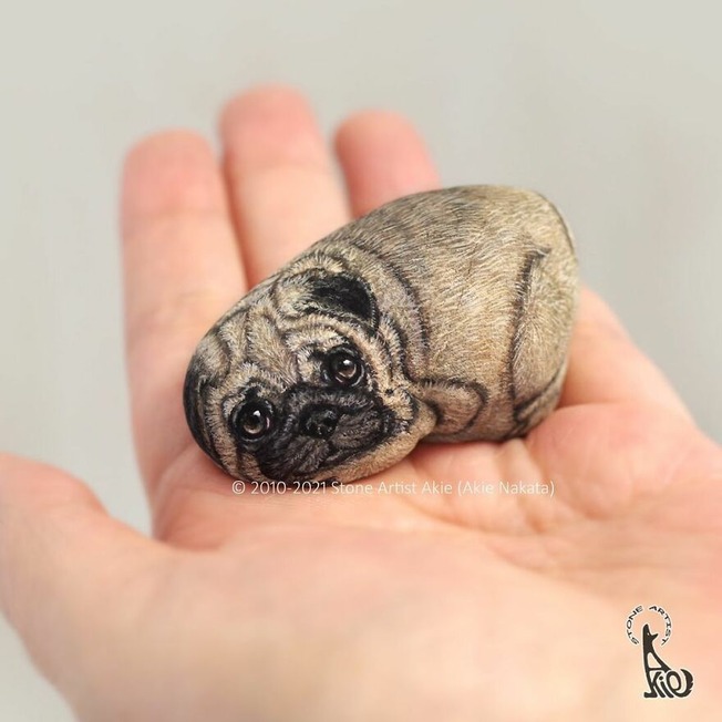 1-617a86cd4844e-png__880