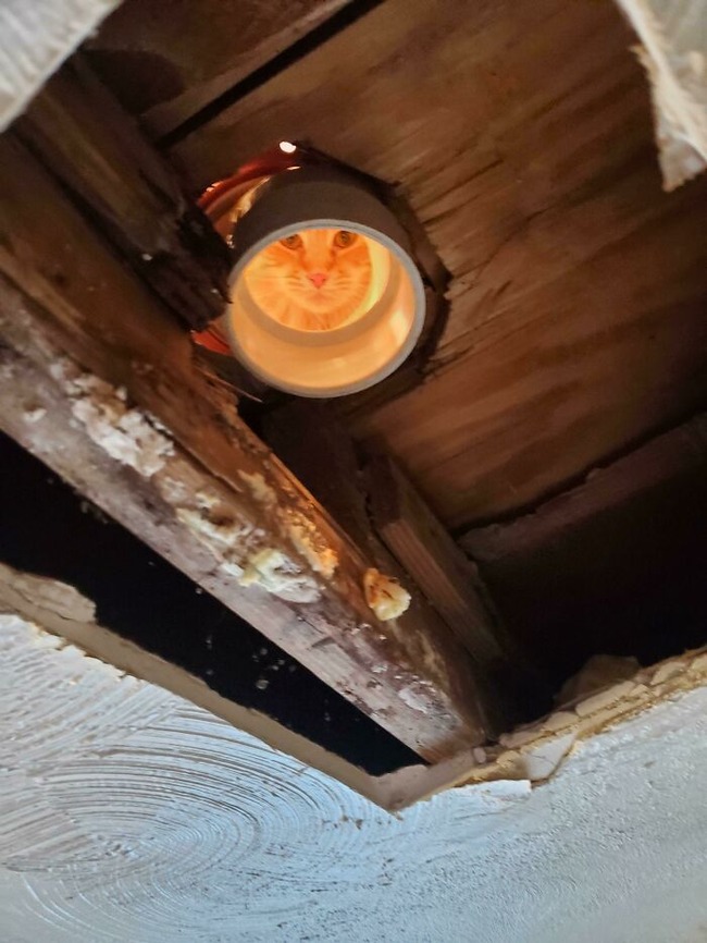 6322e607a0da7_hdr5woyf4xg61__700