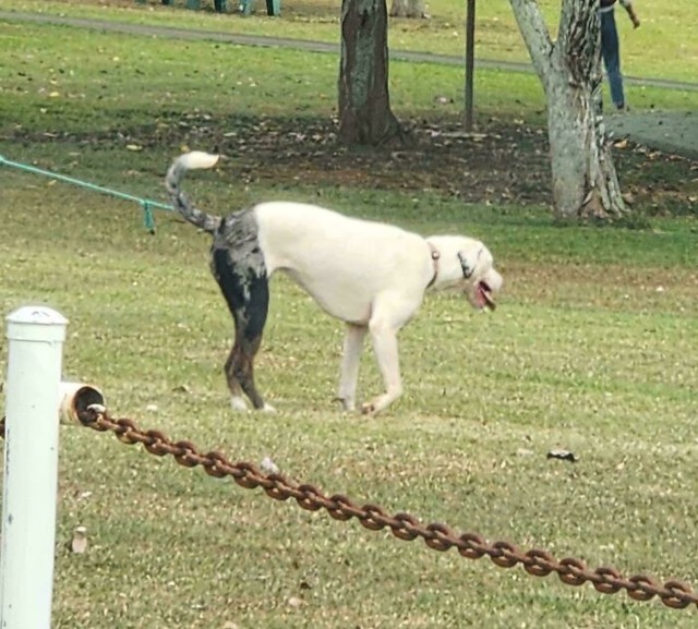 68307ec8ef57d_eh9839lxg7vd1-jpeg__700