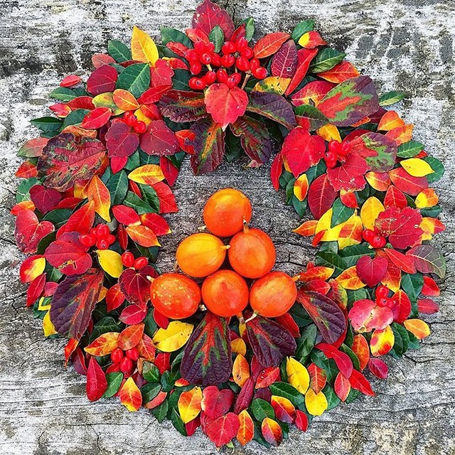 fallen-leaf-art-japan-22-585117f3a01c8__700