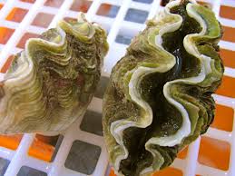 images (3)