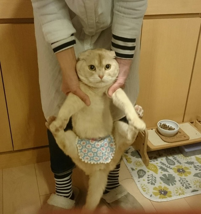 ODYKvfz