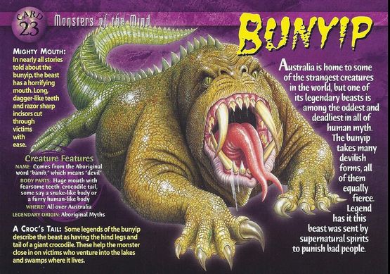 what-are-your-opinions-on-the-we