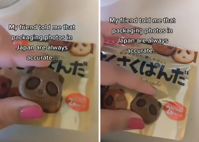 japanese-packaging-vs-reality-6406f844eeb0f__700
