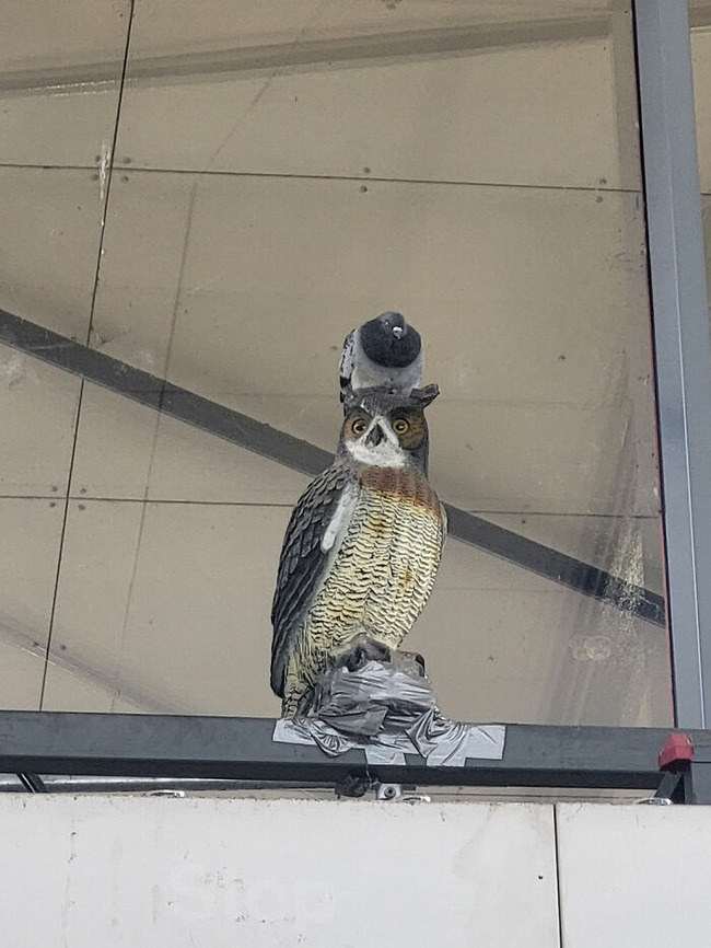 671818e5ced1e_sucdx306qawd1-png__700