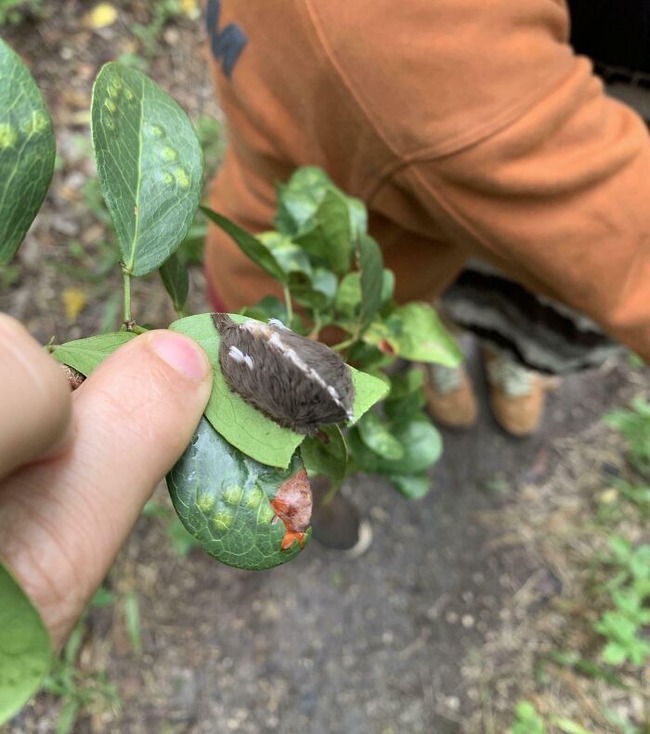 67f3a5cd24cc7_people-photographed-something-dangerous