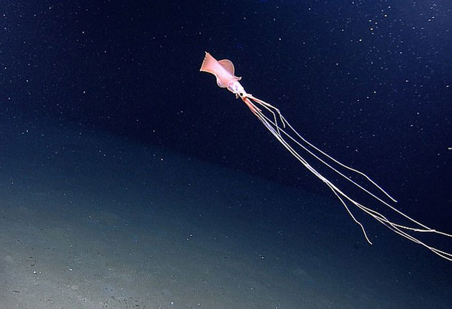 scary-ocean-photos-7-65646b825c9a6__700