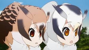 images (3)