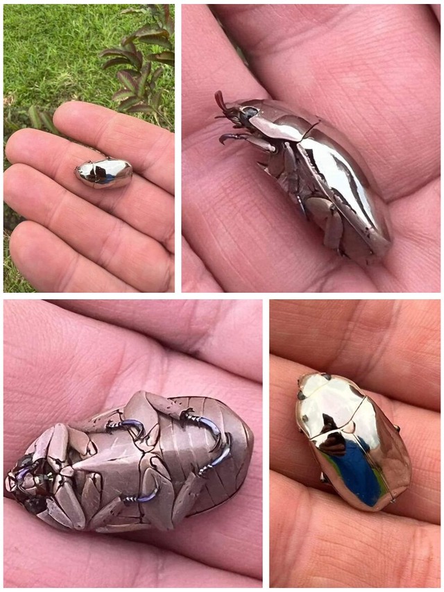 68d102728ebbb_l3bck7a652oa1__880