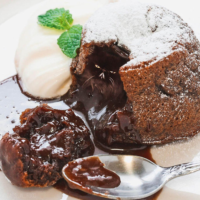 I-photoshop-cats-into-food-5b2b4ce943800__700